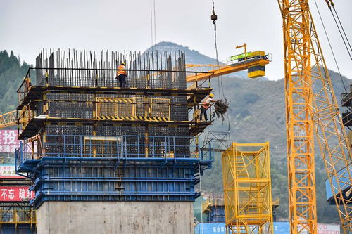 社會 汗水繪藍圖